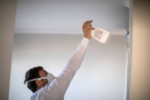 Best Localized Mold Remediation (e.g., coastal areas, humid climates) in Prosperity, SC